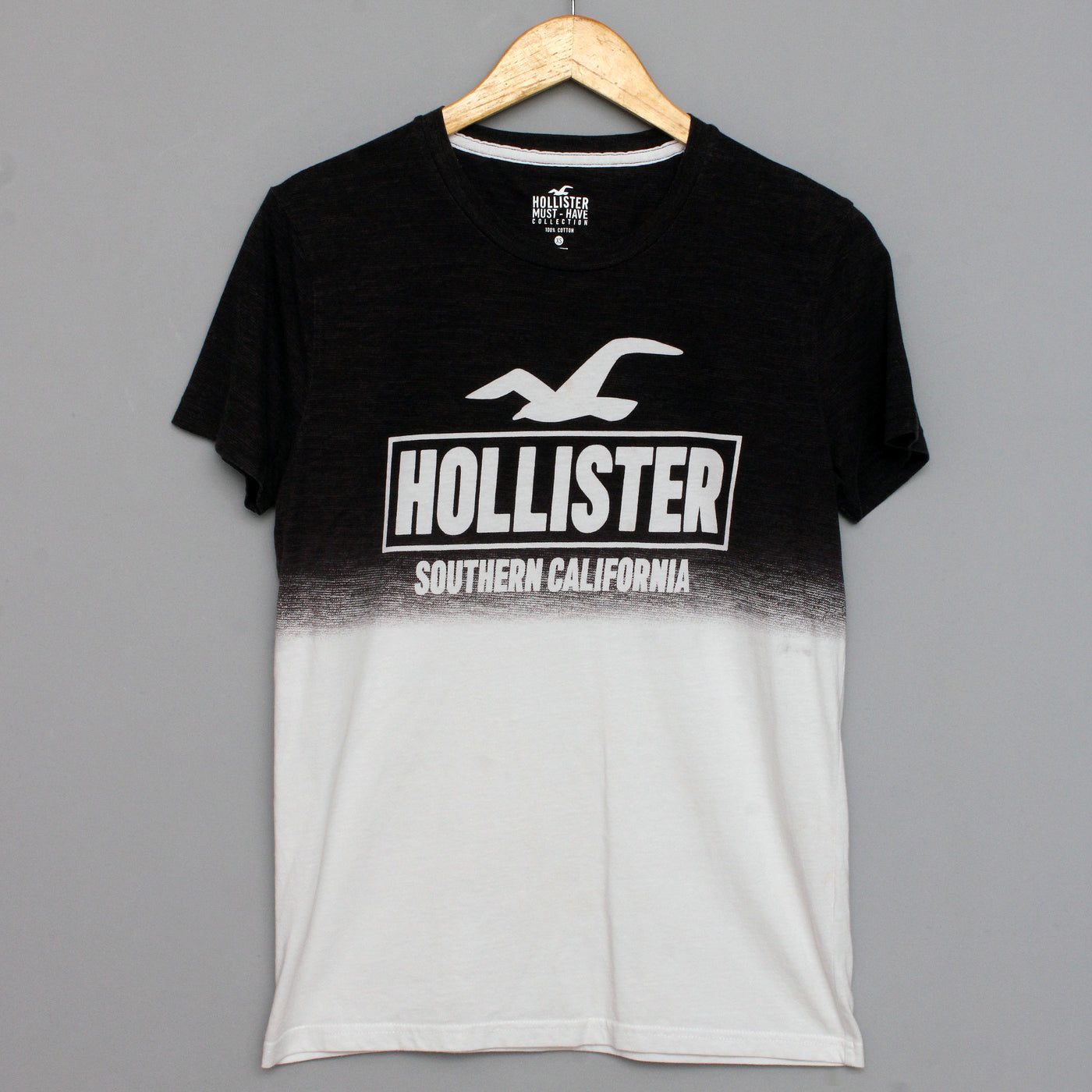 HOLLISTER T-Shirt (00015621)