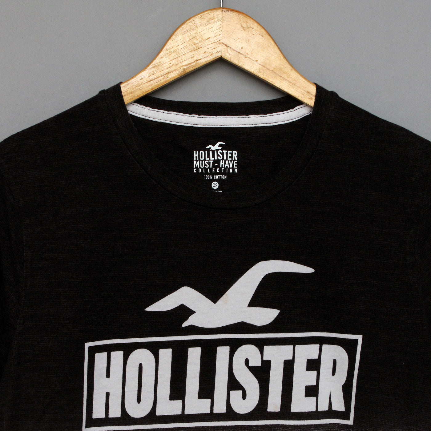 HOLLISTER T-Shirt (00015621)