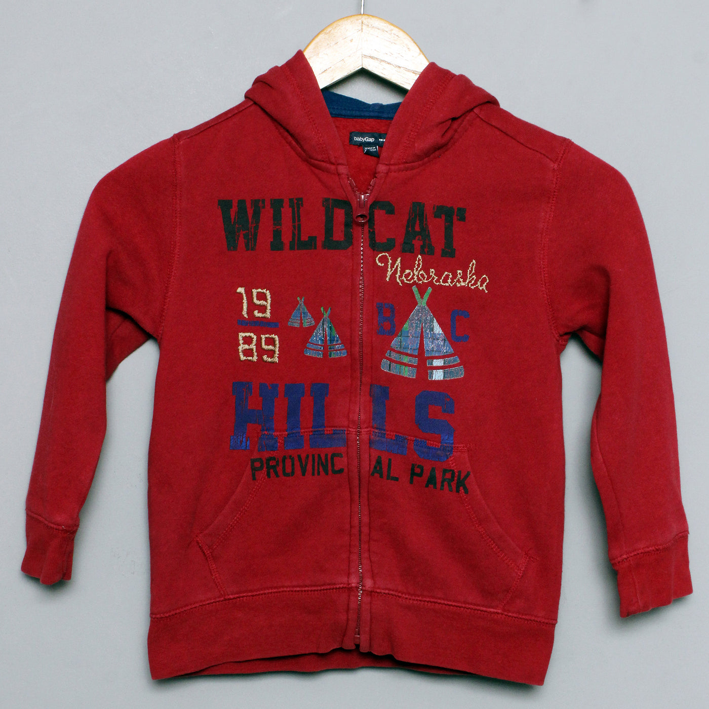 BABYGAP Hoodie (00015891)